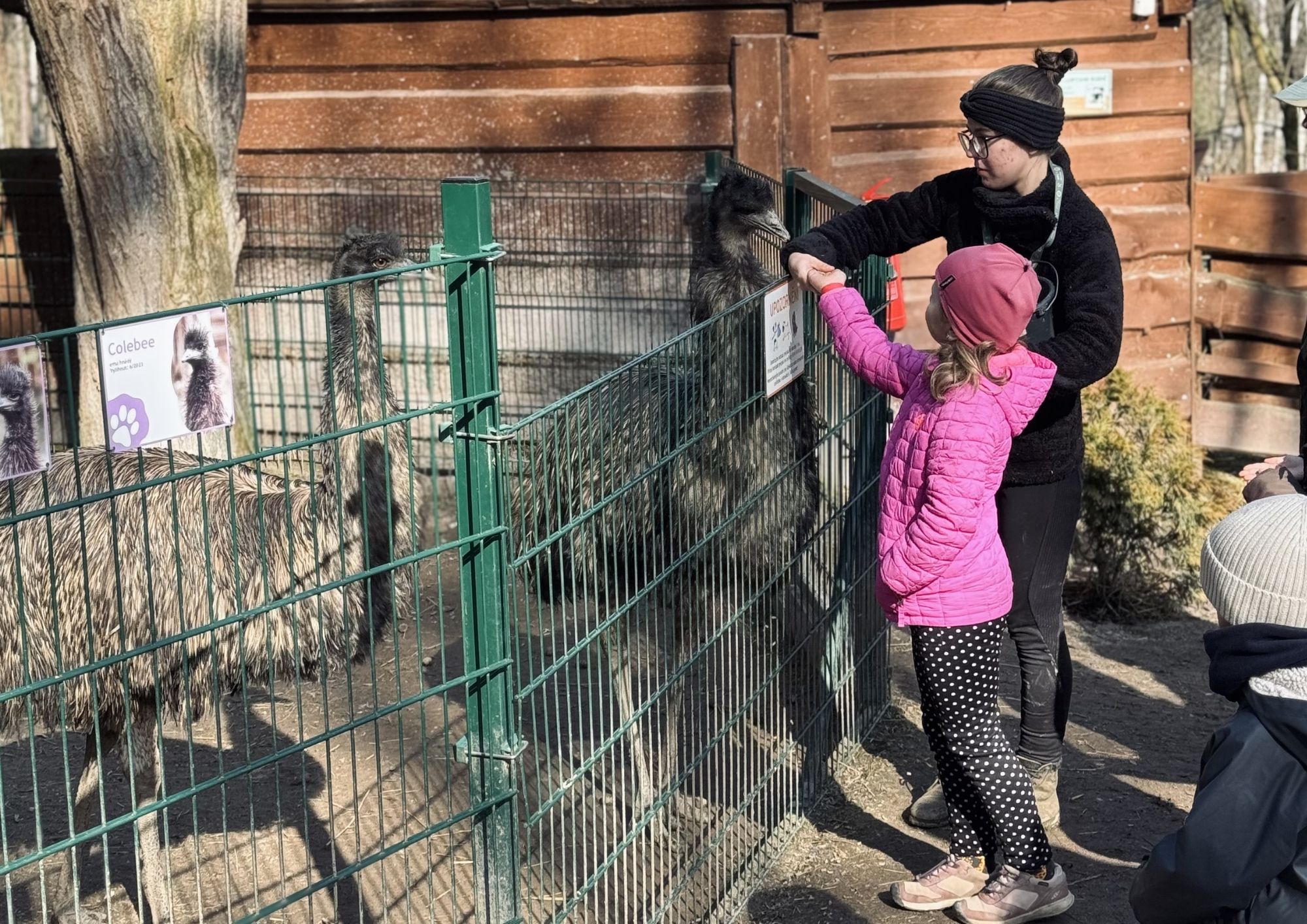 Fotky Jaro (A4 (na šířku)) (3)